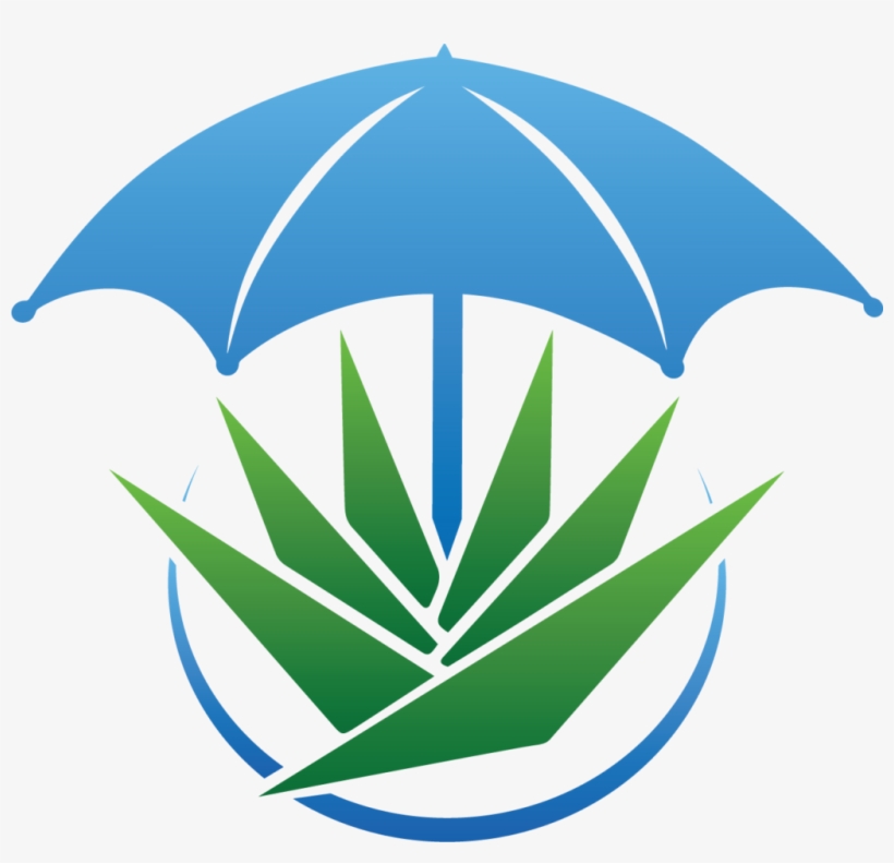 Agave Bar And Grille Is The Perfect Way To End Your - Umbrella, transparent png download