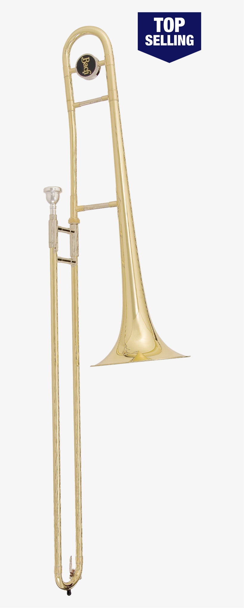 Types Of Trombone, transparent png download