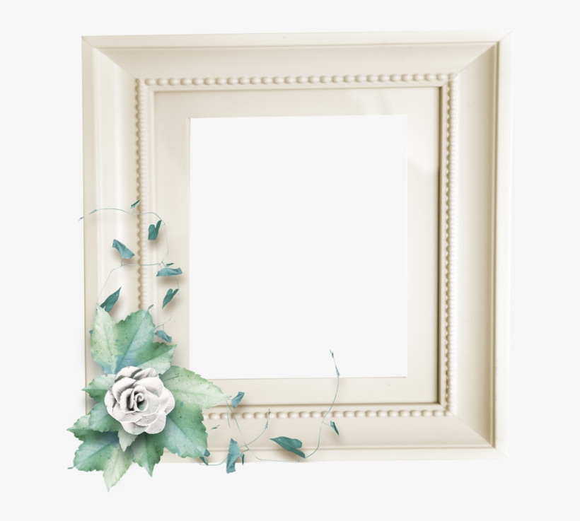 Stock Hq Seulgi's Red Velvet - Rose, transparent png download