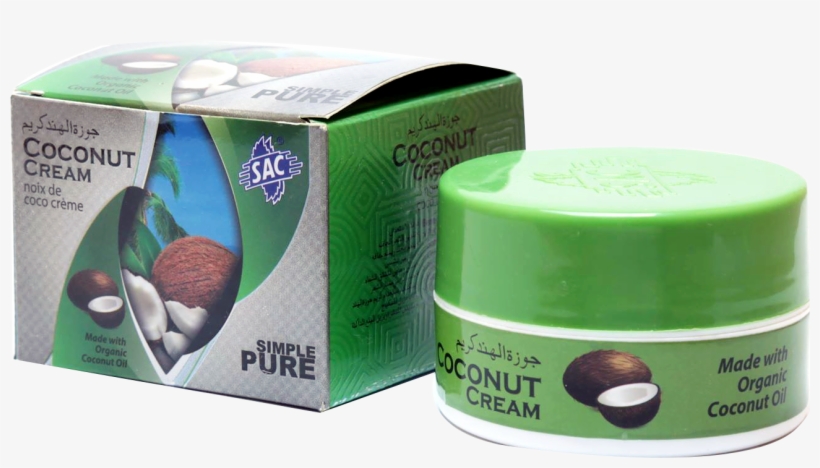 Tapir, transparent png download