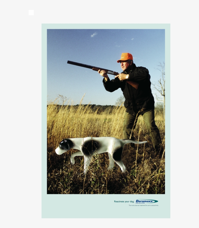 Halden Hound, transparent png download