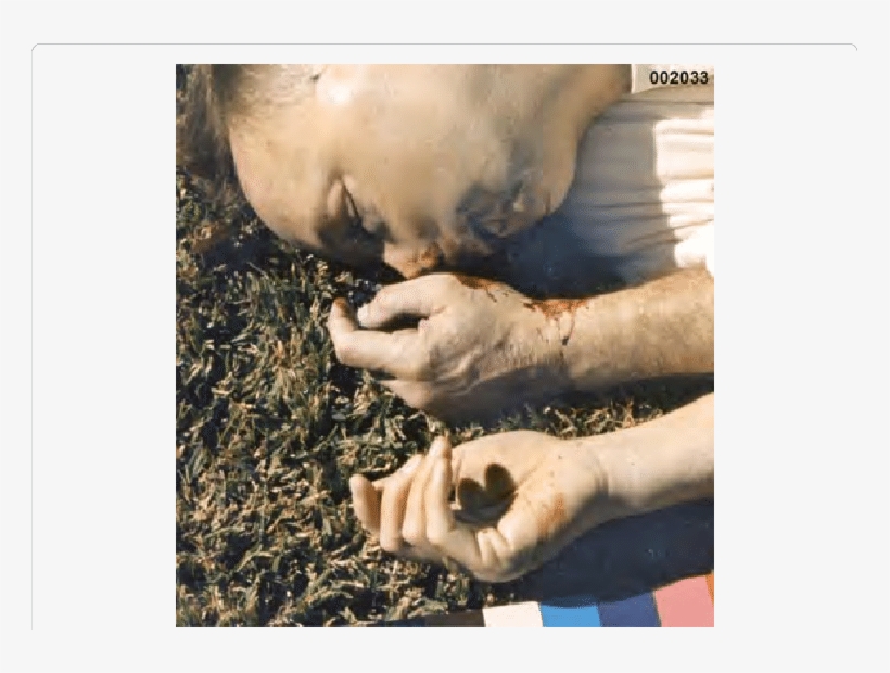 Positions Of The Hands At The Scene - Gesture, transparent png download