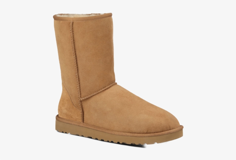 Ugg - Ugg Boots Png, transparent png download