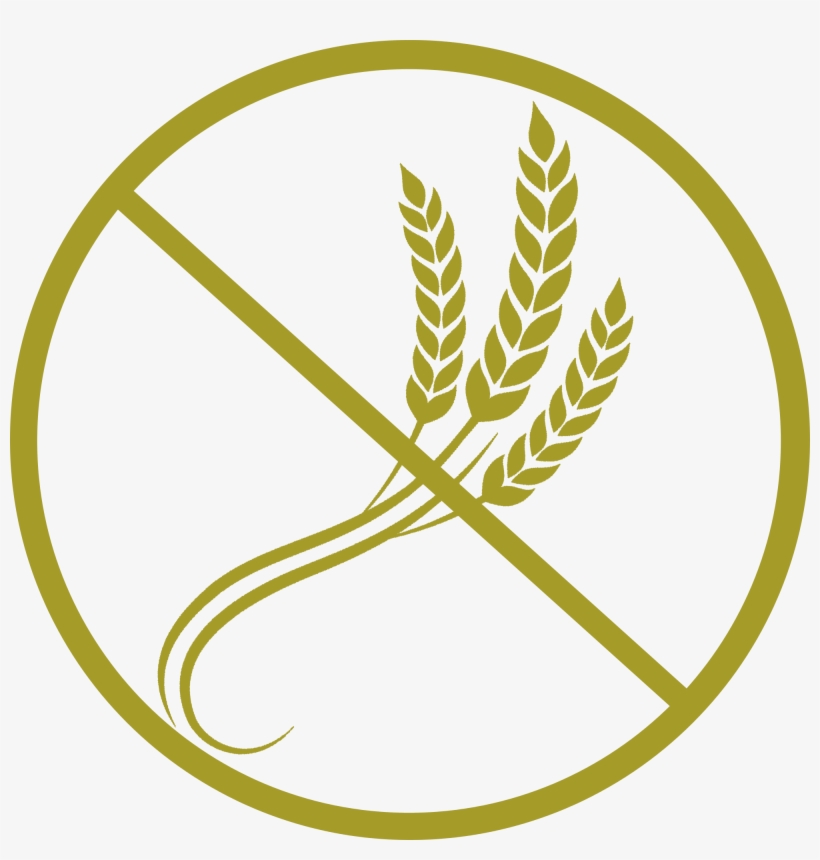 We Are Not Able To Cater For Coeliacs As We Do Not - Equation Of Exchange, transparent png download