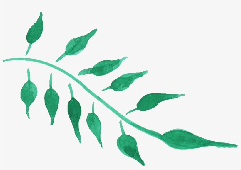 Free Download - Free Green Leaf Watercolor Png, transparent png download