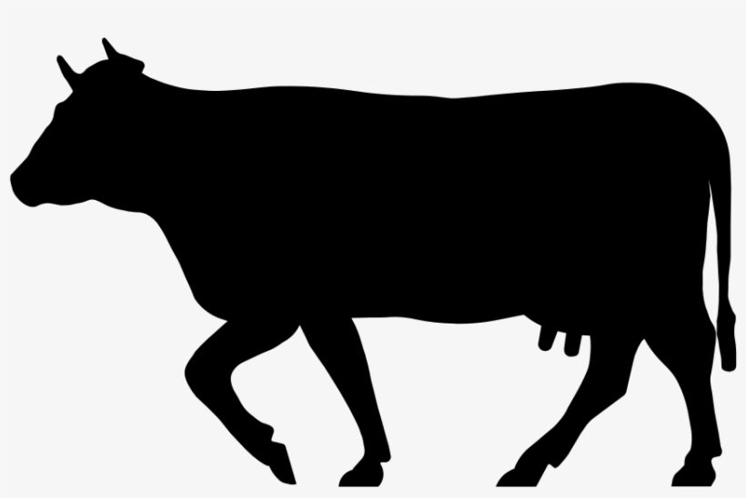 Download Amazing High-quality Latest Png Images Transparent - Cow Silhouette, transparent png download