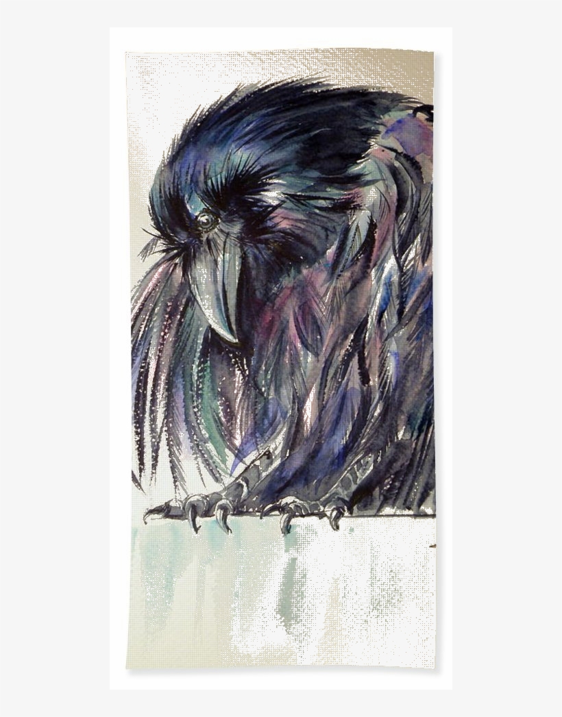 Find This Pin And More On Ravens And Crows Water Color - Crow, transparent png download