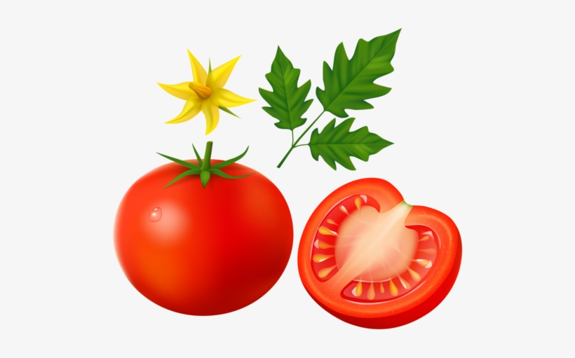Visit - Tomato, transparent png download