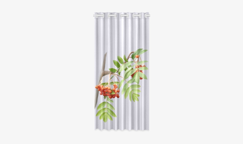 Rowan Tree Watercolor New Window Curtain 50" X - Watercolor Painting, transparent png download