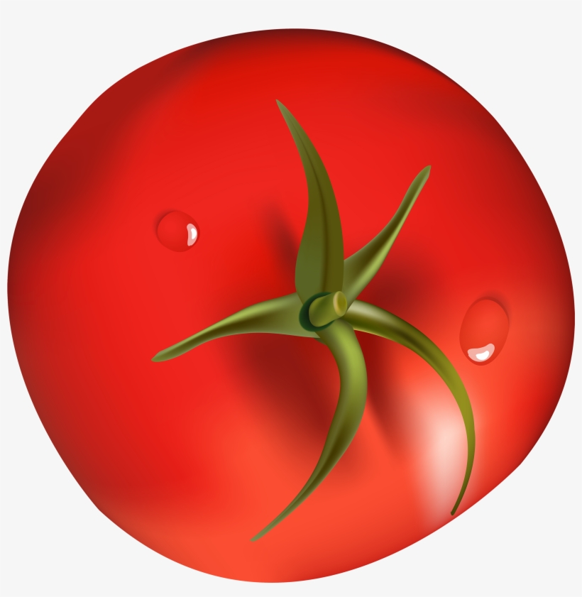 Png Best Web - Tomato Png, transparent png download