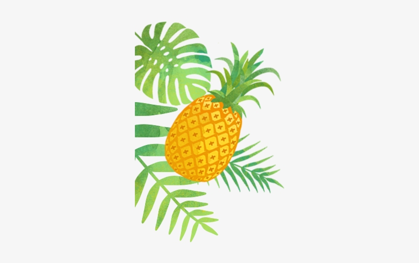 Capitão Zeferino - Pineapple And Flamingos Png, transparent png download