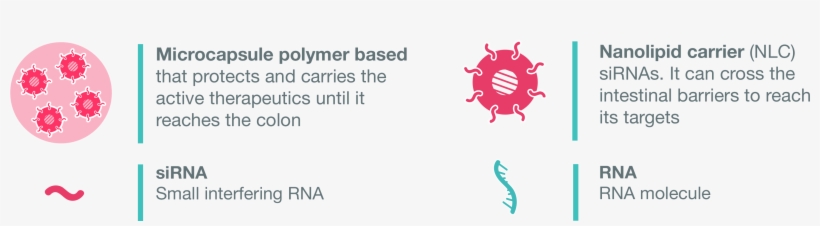 New Deal Project - Inflammatory Bowel Disease, transparent png download