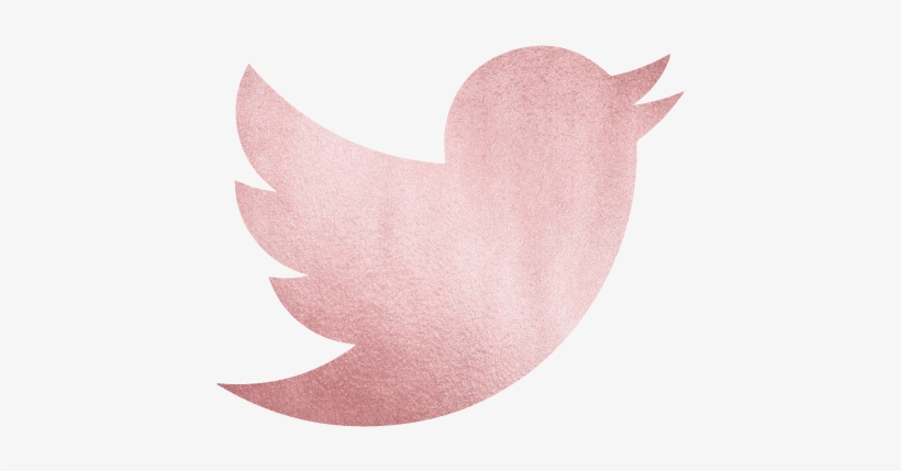 Emily Essentially Twitter - Imagenes Del Pajaro De Twitter, transparent png download