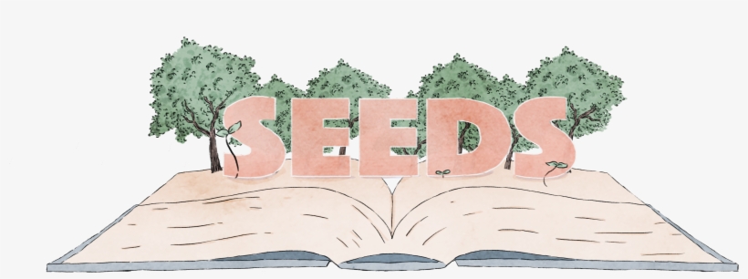 Seed, transparent png download