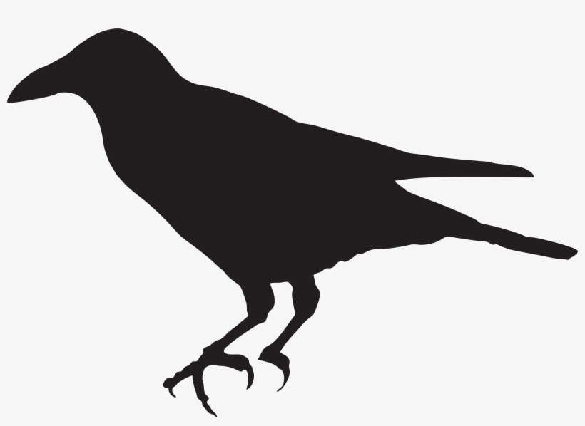 Crow Clip Art, transparent png download