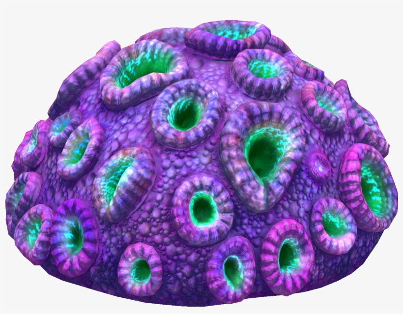 Purple Brain Coral Fauna, transparent png download