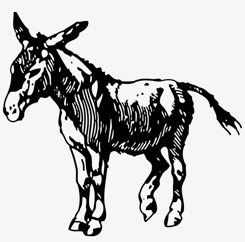 Big Image - Donkey Clipart, transparent png download