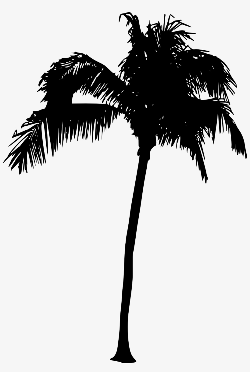 Png File Size - Palm Tree Silhouette Png, transparent png download