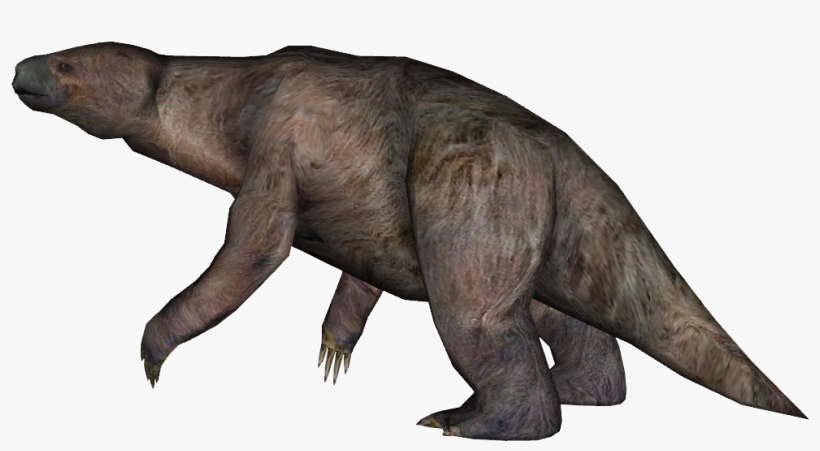 Giant Ground Sloth 1 - Giant Ground Sloth Png, transparent png download