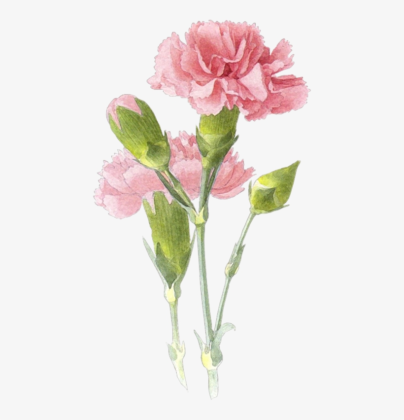 Y Trabajos Con Flores - Love Myself Love Yourself, transparent png download