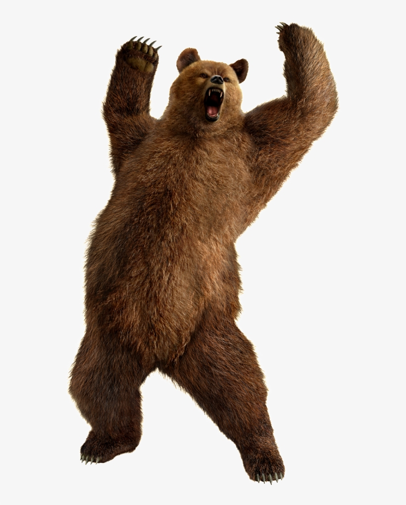 Bear Png, transparent png download