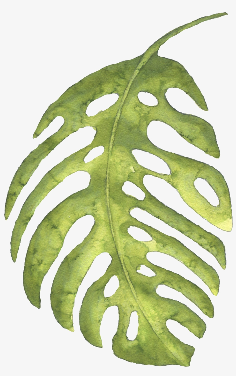 Este Gráficos Es The Green Banana Leaves Large Hand-painted - Escape: Wild Design:watercolor: Journal: Dairy: Composition, transparent png download
