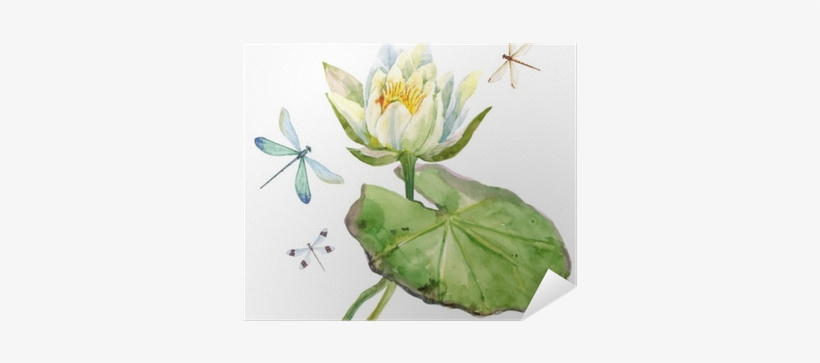 Lotus Watercolor, transparent png download