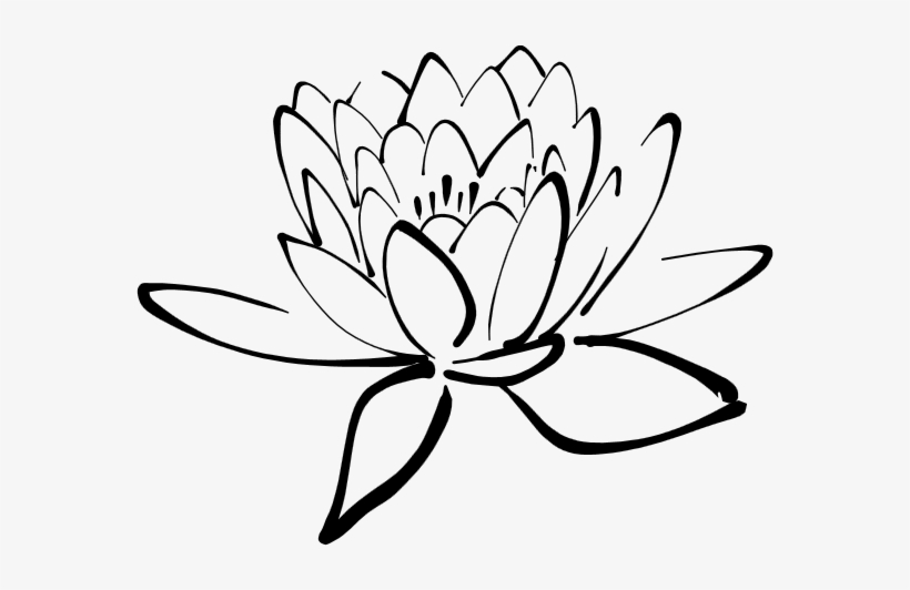 Black Lotus - Lotus Png Black N White, transparent png download