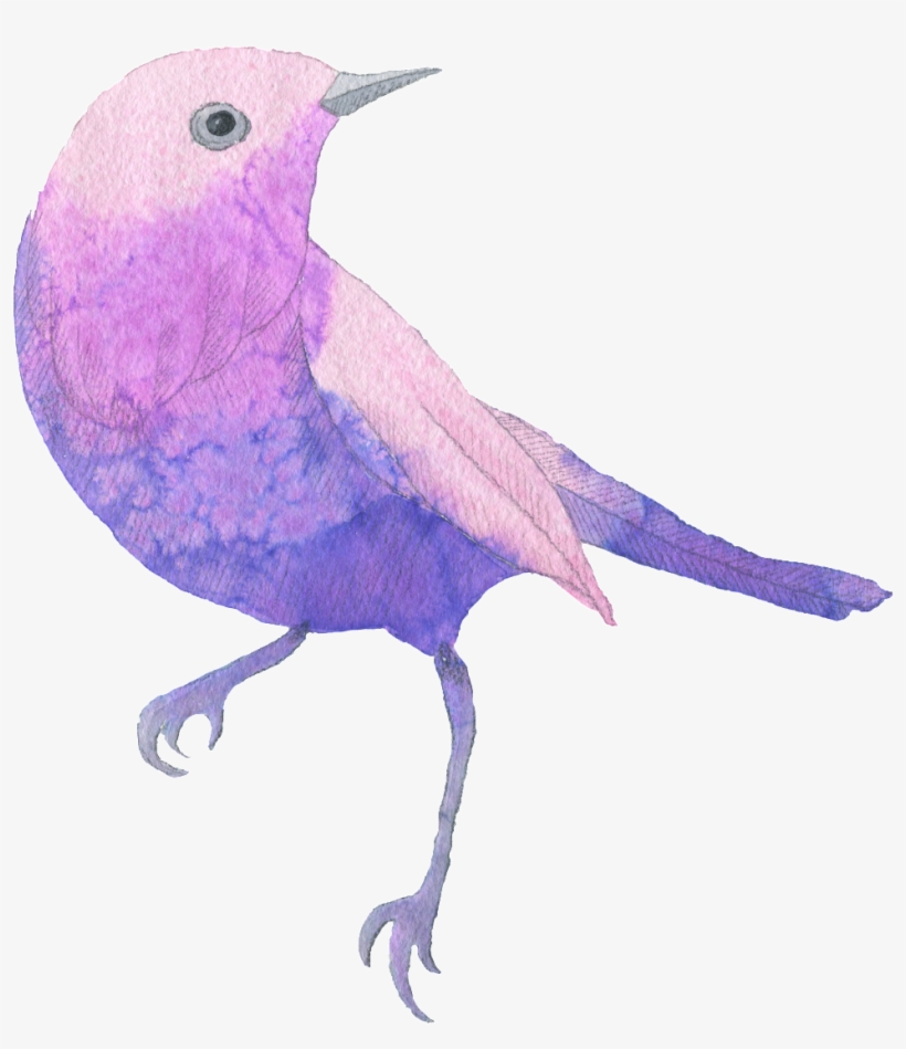 Este Gráficos Es Purple Bird Watercolor Hand Painted - Purple And Pink Sparrow Tote Bag, Adult Unisex, Natural, transparent png download