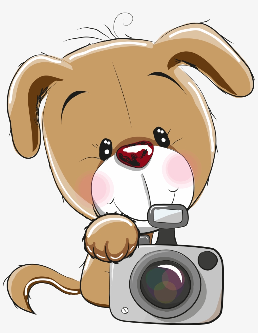 More Information - Dog, transparent png download