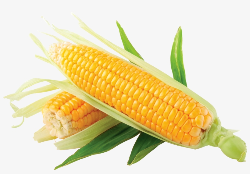 Corn Png Image Corn Png Image - Surepromise 10 X Stainless Steel Corn, transparent png download