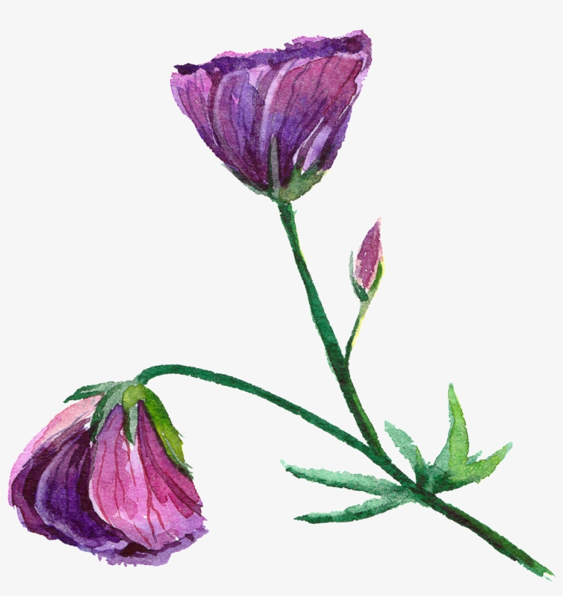 Purple Fashion Transparent Watercolor Flowers - Watercolor Flowerstransparent, transparent png download
