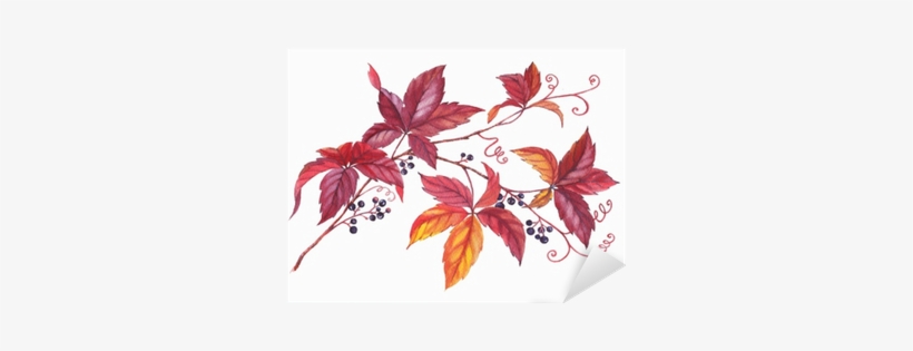 Hand Drawn Watercolor Colorful And Vibrant Branch Of - Leaf, transparent png download