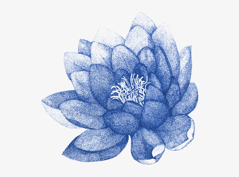 Bleed Area May Not Be Visible - Flower Lotus Painting Png, transparent png download