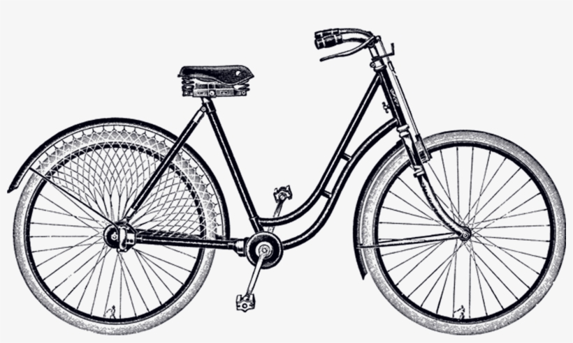 Beach Cruiser - Acrylic Framed Bicycle Wall Art Print - Variety, transparent png download