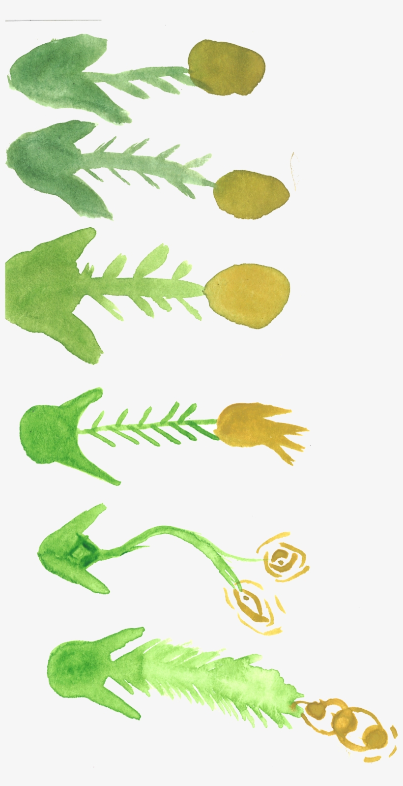 Watercolor Weirdness- All Images Are Free For Personal - Frog, transparent png download