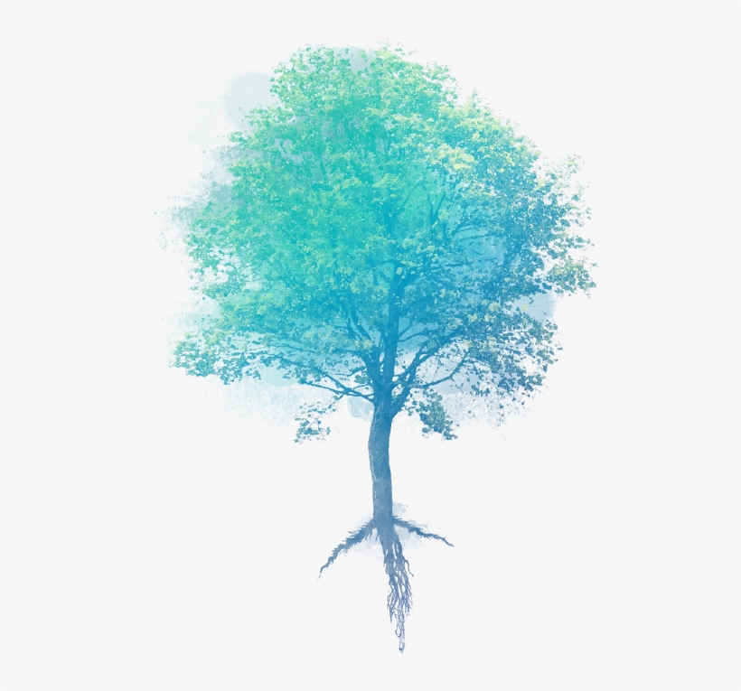 Stock Photography, transparent png download