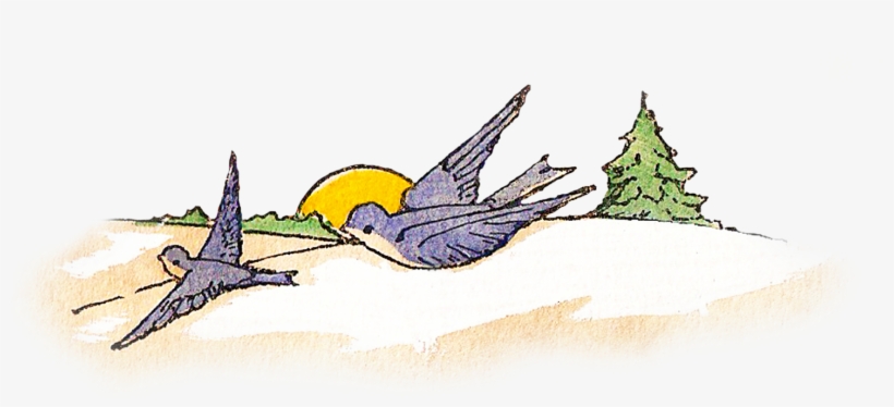 I've Included A Png File Perfect For Digital Layering - "hope" Is The Thing With Feathers, transparent png download