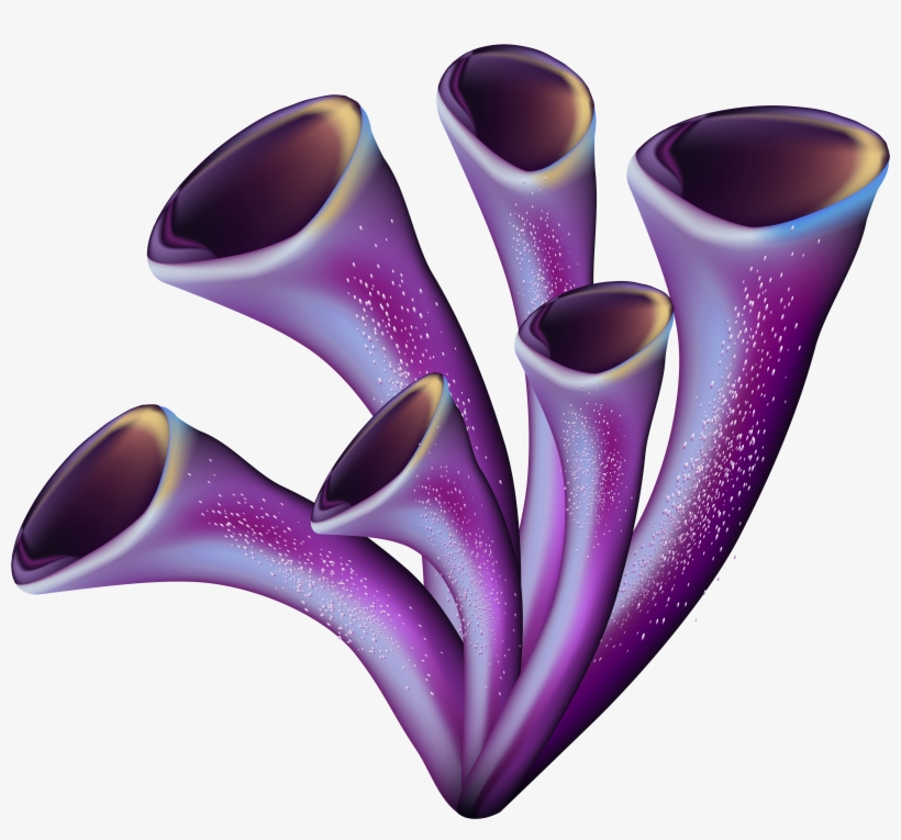Coral Png, transparent png download