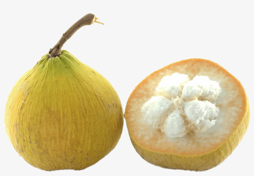 Fruits - Santol Png, transparent png download