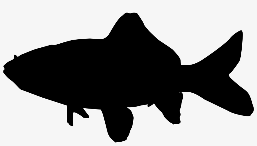 Common Goldfish Silhouette - Goldfish Silhouette Png, transparent png download