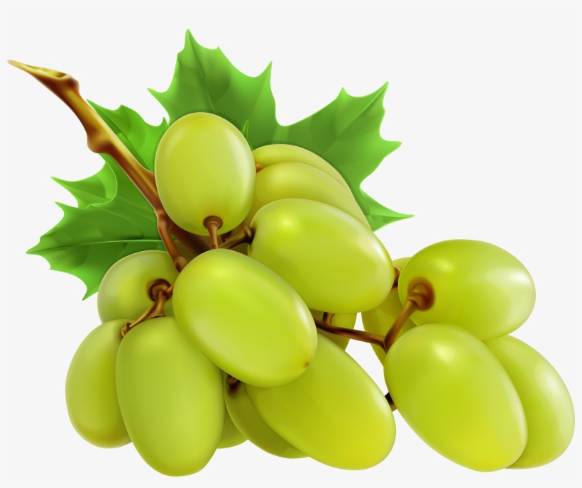 White Grapes Png Clipart - Grapes Png, transparent png download