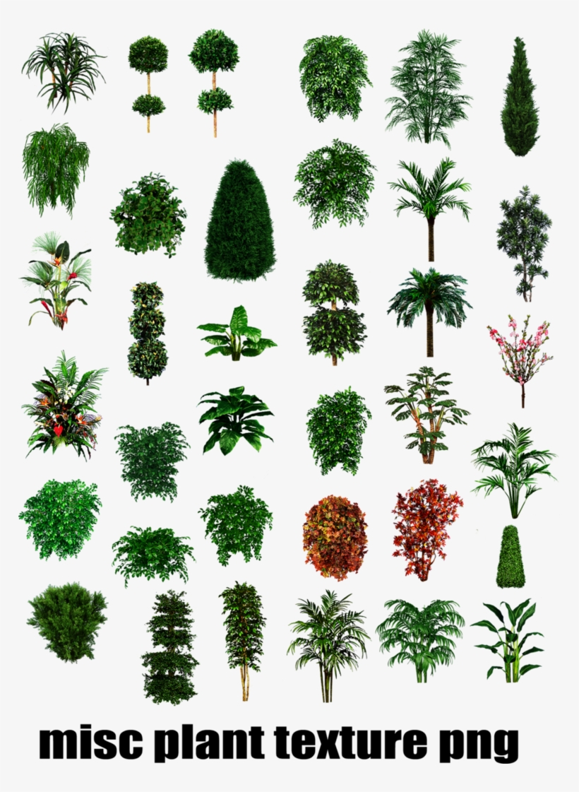 9 Kbyte, Interesting, Pixel Widescreen - Architectural Plants Images Png, transparent png download