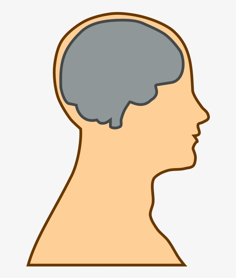1 - Brain Clip Art, transparent png download