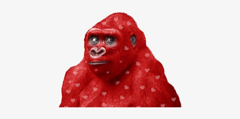 Red Gorilla - Gorilla Red, transparent png download