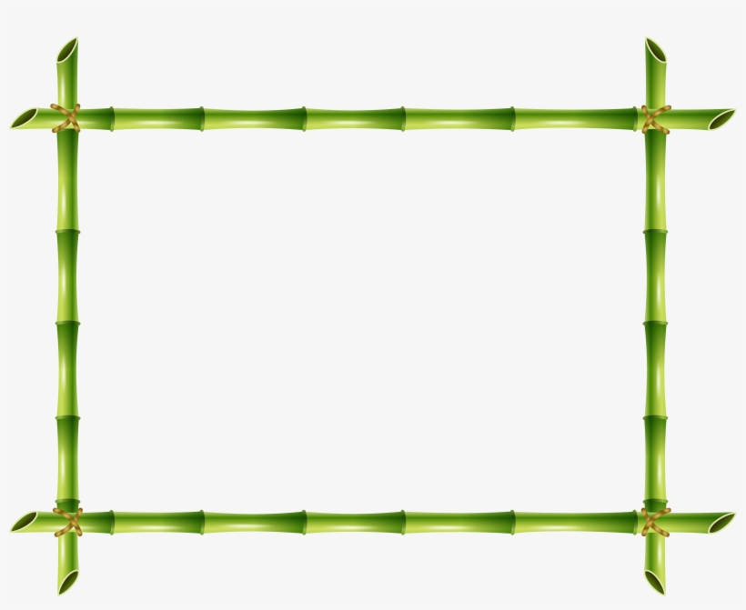 Bamboo Png, transparent png download