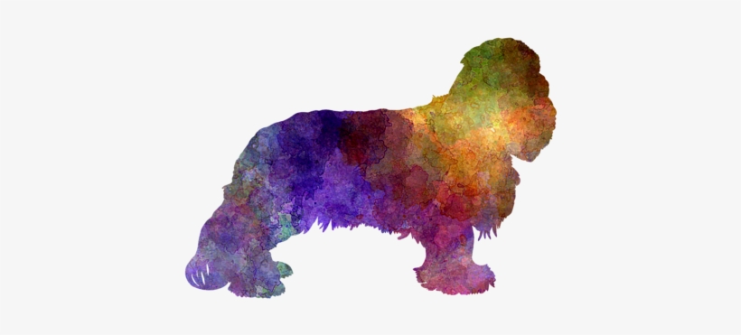 Click And Drag To Re-position The Image, If Desired - Cavalier King Charles Spaniel Målad, transparent png download