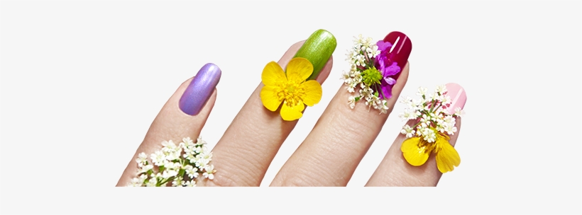 Nails Manicure Png - Manicure Png, transparent png download