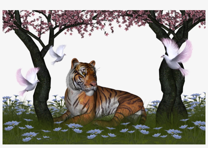 Png Images For Background - النمر ملك الغابة, transparent png download