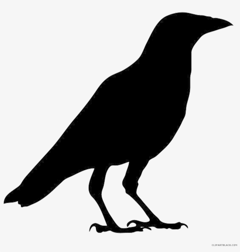 Crow Png Library Huge Freebie Download - Cria Cuervos Y Tendras Muchos, transparent png download